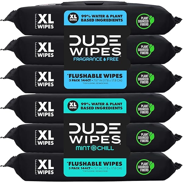DUDE Wipes Flushable Wipes – 6 Pack, 288 Count Herbal Relief Wipes With Witch Hazel & Geranium | Plastic-Free, Plant-Based