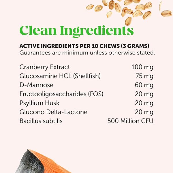 CAT URINARY TRACT HEALTH CRUNCHY & CREAMY CHEWS – PROMOTES HEALTHY DIGESTION & NORMAL BLADDER FUNCTION WITH CRANBERRY, ANTIOXIDANTS, & PROBIOTICS – GUT + BLADDER SUPPORT SUPPLEMENT (30 DAY SUPPLY)
