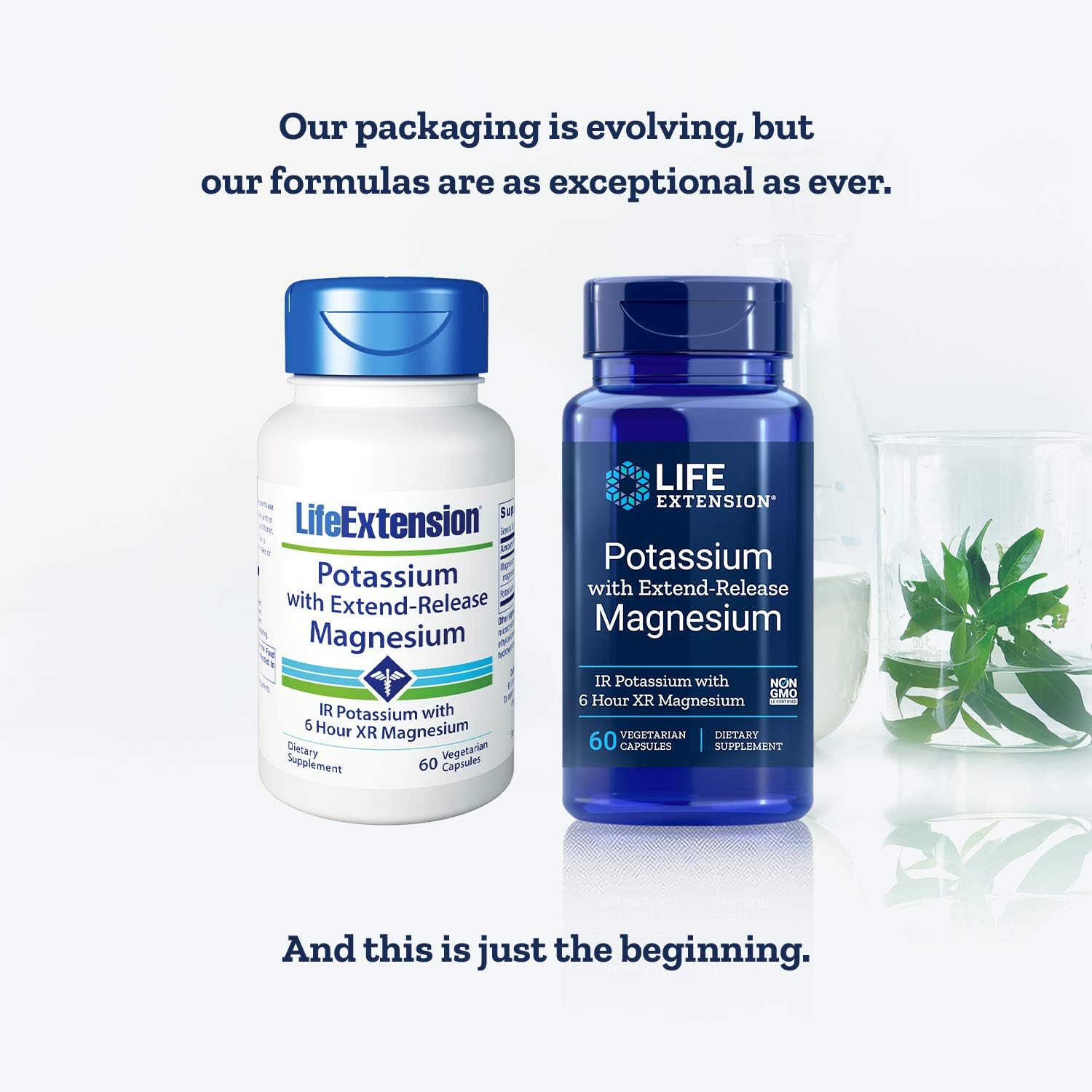 Life Extension Potassium with Extend-Release Magnesium, 60 Count: Health & Personal Care