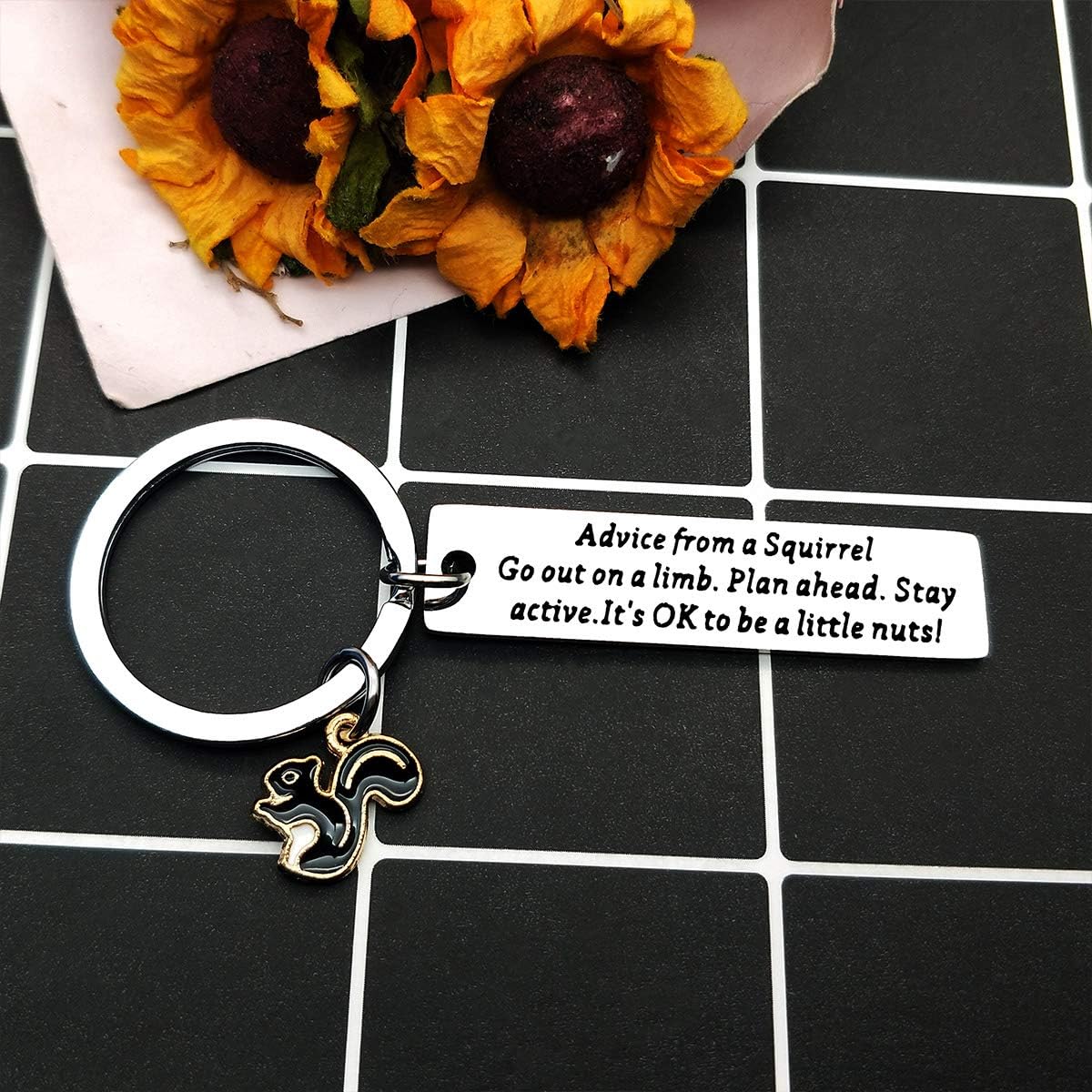 Funny Squirrel Keychain Advice from a Squirrel Gifts for Squirrel Lovers Nature Lovers Go Out on a Limb Plan Shead Stay Sctive It’s OK to be a Little Nuts Cute Keychain Keyring Gift for Squirrel Fans - Image 5