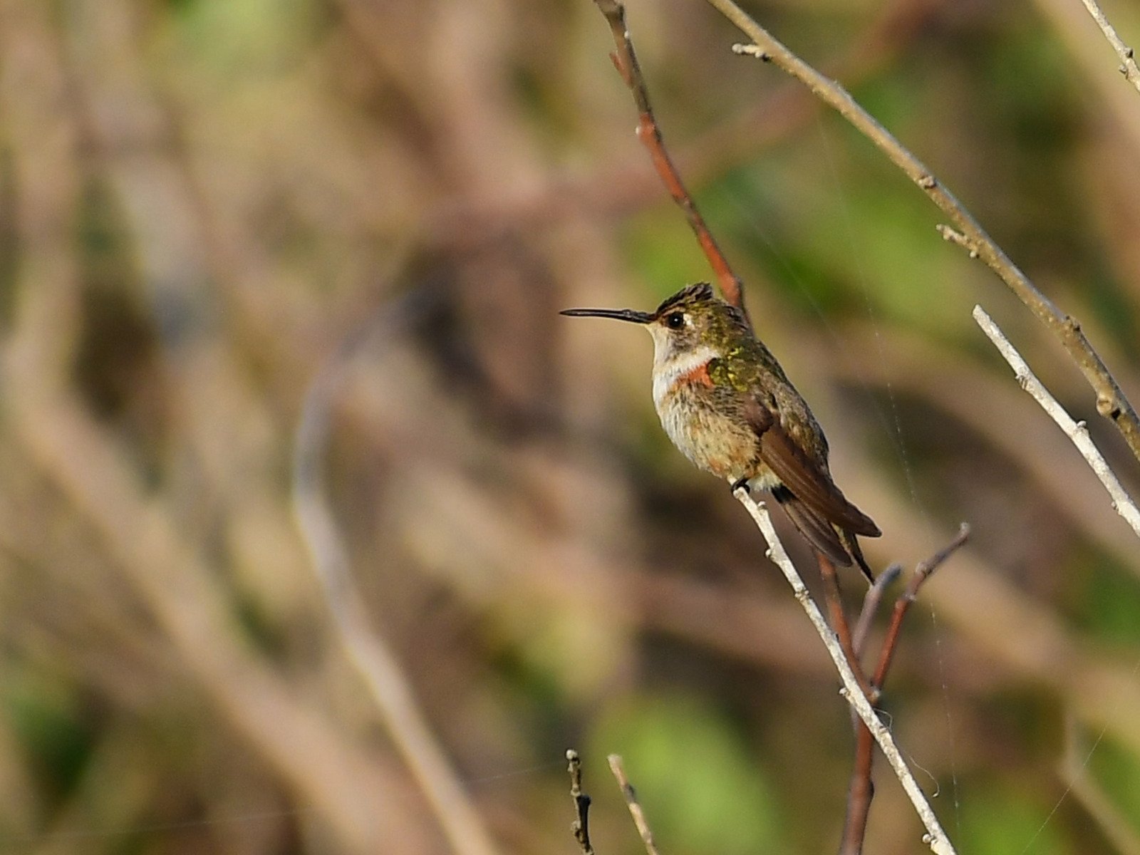 Watch Mark Smith Photography Prime Video