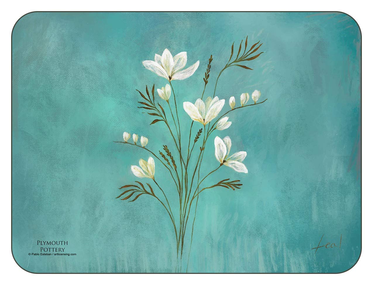 Plymouth Pottery - Infinity Placemats - Set of 6