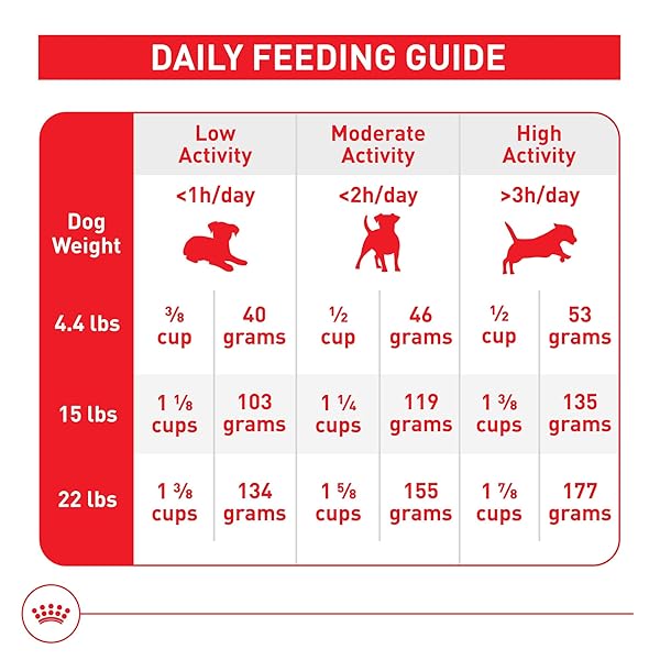 ROYAL CANIN SIZE HEALTH NUTRITION SMALL ADULT DRY DOG FOOD, 4 LB