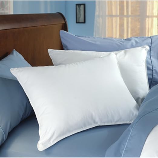 Amazon Com Pillow Classic Down Dreams Found In Hilton Hotels