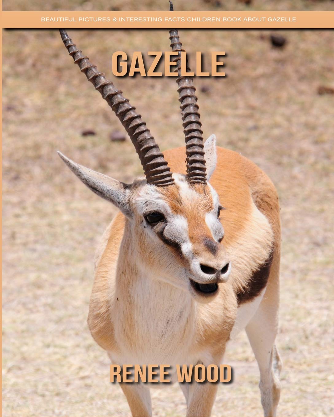 adidas x 19.1 firm ground boots