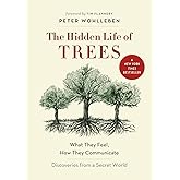 The Hidden Life of Trees: What They Feel, How They Communicate―Discoveries from A Secret World (The Mysteries of Nature, 1)