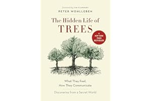The Hidden Life of Trees: What They Feel, How They Communicate―Discoveries from A Secret World (The Mysteries of Nature, 1)