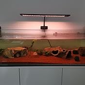 Koraal Licht, Marine Aquarium Led Rif Licht Volledige Spectrum Reef Aquarium Led Verlichting for 120 Cm/48 Koraal Zoutwater aquarium Tank Volledig spectrum voor koraalbenodigdheden (Color : With arm Koraal Licht, Marine Aquarium Led Rif Licht Volledige Spectrum Reef Aquarium Led Verlichting for 120 Cm/48 Koraal Zoutwater aquarium Tank Volledig spectrum voor koraalbenodigdheden (Color : With arm
