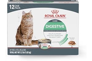 Royal Canin Feline Care Nutrition Digestive Care Adult Thin Slices in Gravy Cat Food, 3 oz (Pack of 12)