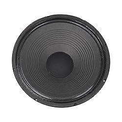 Sound Town 12-Inch 65 Watt Replacement Guitar