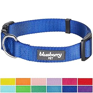 Blueberry Pet Classic Solid Color Dog Collar Collection - Regular Collars, Seatbelts, Personalized Collars and Bandana