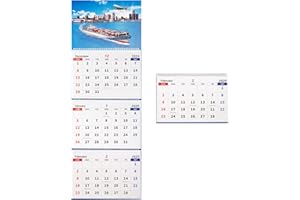 Echaprey 2025 Wall Calendar Large Calendar 2025 Monthly Wall 3 Month Calendar 2025 Vertical Calendar (Folded in a Month), 36" x 13", December 2024 - January 2026, for Organizing & Planning (Style 2)