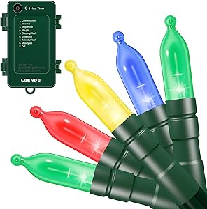 Battery Operated String Lights with Timer & Indicator - Christmas Lights Outdoor String Lights 100 LED String Lights Mini Lights Set for Wedding Party Home Garden Wreath, Waterproof, Multicolored