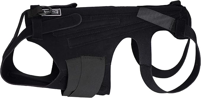 large dog back brace