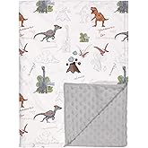 Soarwg Kids Baby Blanket Unisex Newborn, Super Soft Comfy Blankets, for Toddler Baby Nursery Bed Blanket Stroller Crib Shower Gifts, 30 x 40 Inch