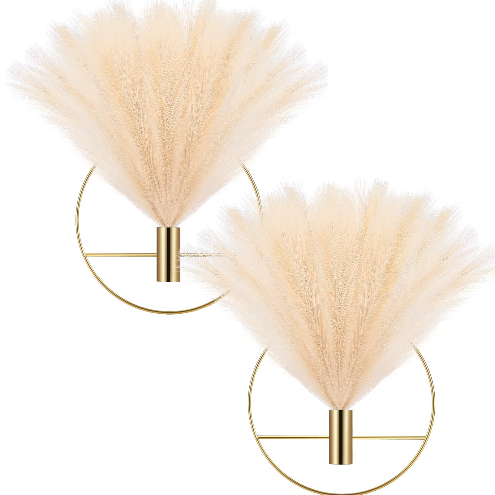 Photo 1 of Wesiti 2 Set Boho Pampas Wall Decor Include 6 Artificial Pampas Plants and 2 Gold Metal Round Hanging Hoop Gold Boho Wall Mounted Decor Hanging Home Modern Artificial Display Wall Art(Beige)
