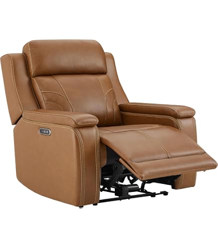 Amazon.com: Hydeline Torino Zero Gravity Power Recline and