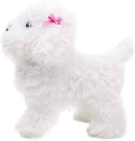 paw pals walking dog