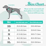 rabbitgoo Dog Harness Small No Pull Reflective Adjustable Vest Black Mintgreen view 2
