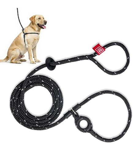 Harness Lead No Pull Dog Harness and Leash Set, Anti Pull Dog