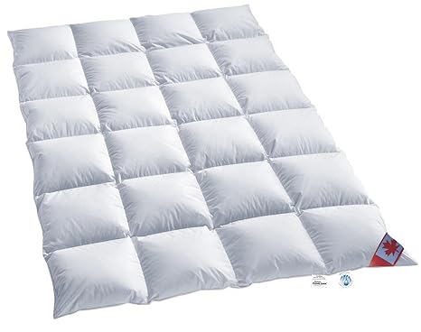 Warmes Winter Daunen Kassettenstegbett Daunendecke 100% Natur Daunenbett 155x220