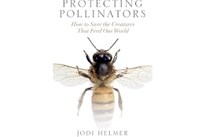 Protecting Pollinators: How to Save the Creatures that Feed Our World