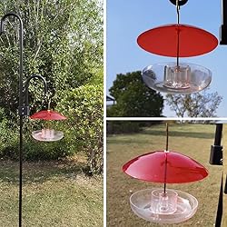 8" Mini Weather Guard for Bird Feeder - 2 PC x