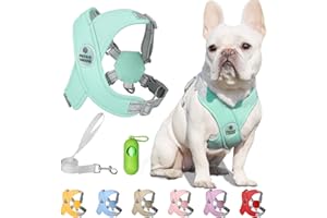 Patas Lague Dog Harness with Leash Set Adjustable Soft Padded Step-in Dog Vest No Choke No Pull Reflective for Small Medium Pets with Poop Bags and Dispenser, Solid and No-chew, Green M