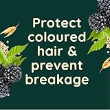 Aveeno Scalp Soothing Colour Protect Conditioner Blackberry & Quinoa 300ml view 4