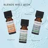 Tisserand Eucalyptus Essential Oil 100% Pure 9ml Aromatherapy Diffuser view 5