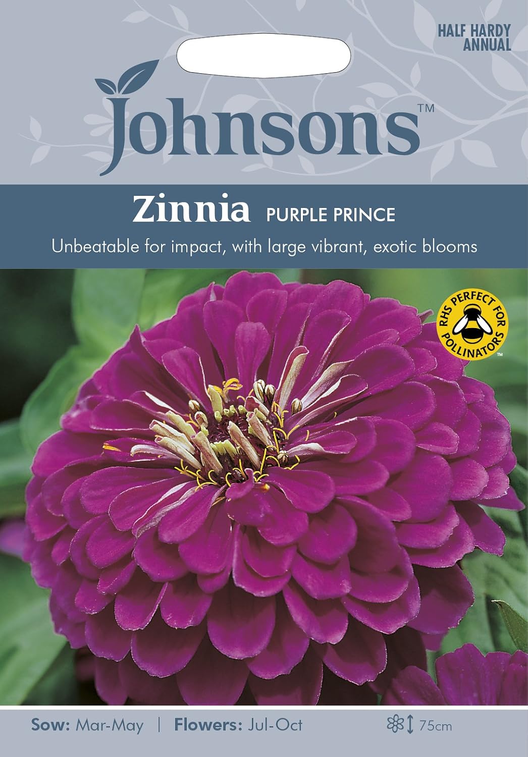 Johnsons 23905 Flower Seeds, Zinnia Purple Prince