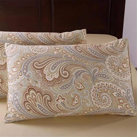 Amazon Com Yih Paisley Pillow Cases Queen Size Set Of 2 100