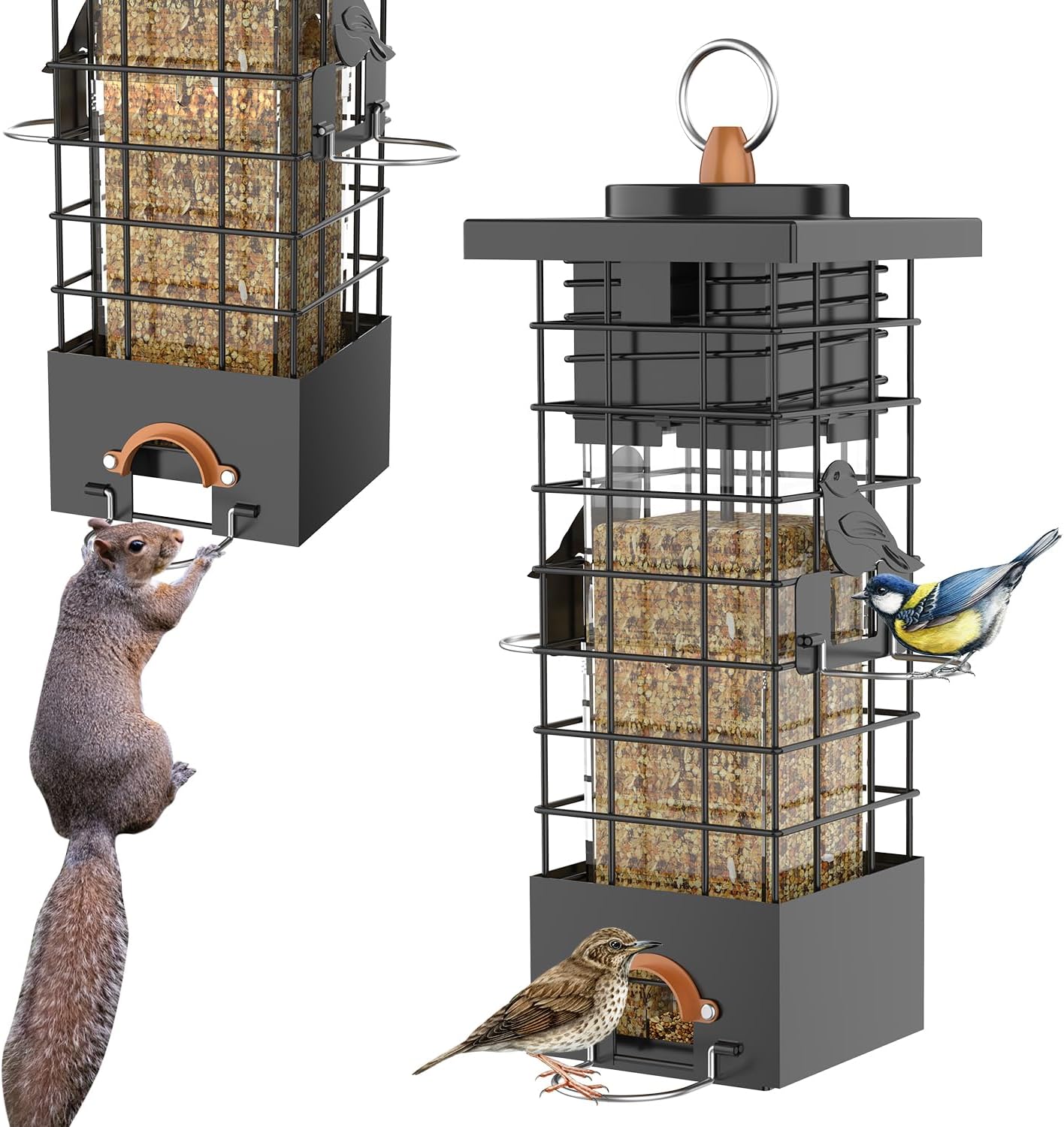 Backyard Birding & Wildlife - Metal Squirrel Proof Bird Feeder for Outdoors Hanging Gravity Protection Squirrel Proof Wild Bird Feeders for Outside, 2.5 lb Capacity