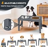 Aystkniet Raised Dog Bowls with Stand, 5-Height Adjustable 8–35 cm view 2
