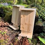 Selections Wooden Bat House Roosting Box with Landing Perch & Grooved Interior view 5