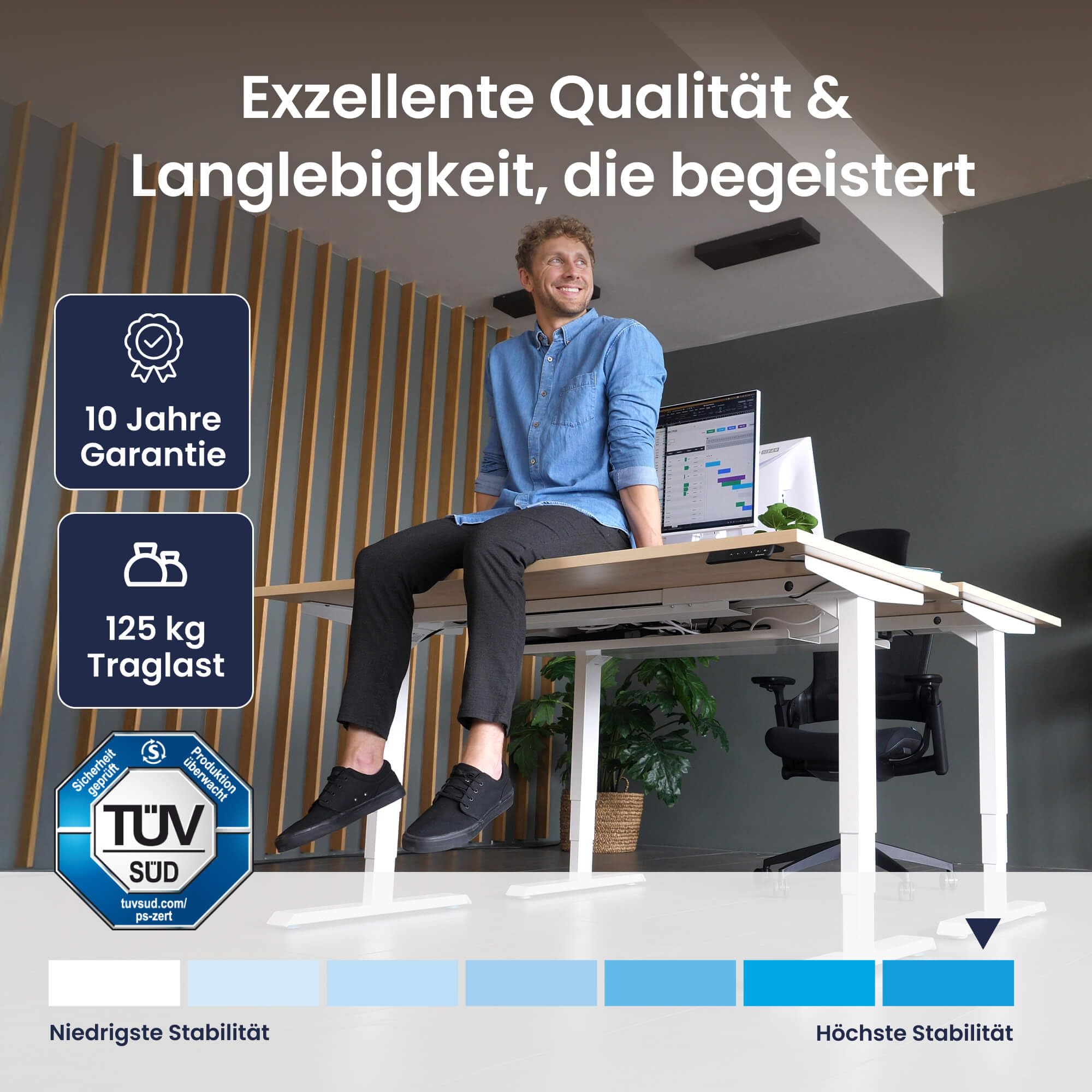 Ergotopia Desktopia Pro X Elektrisch höhenverstellbarer Schreibtisch, Ergonomischer Stehtisch für Büro oder Home Office (Buche, Gestell Schwarz, 120 x 80 cm) 4