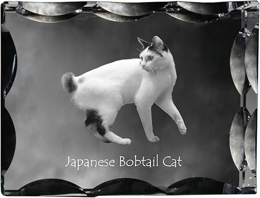Amazon Com Art Dog Ltd Japanese Bobtail Cat Cubic Crystal With