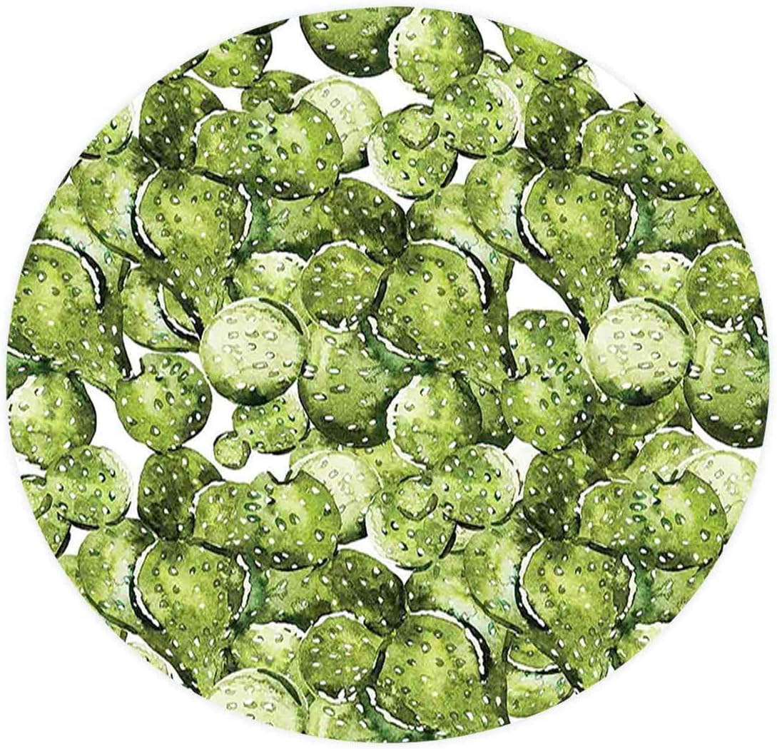 Kitchen Decor Elastic Edged Polyester Fitted Table Cover Cactus Cactus Petals Spikes Sun and Flowers in a Hot Mexican Desert Beauty Art,Fits up Diameter 55" Tables,Waterproof Tablecloth