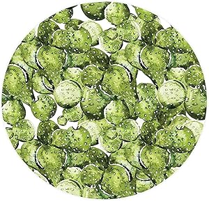 Kitchen Decor Elastic Edged Polyester Fitted Table Cover Cactus Cactus Petals Spikes Sun and Flowers in a Hot Mexican Desert Beauty Art,Fits up Diameter 55" Tables,Waterproof Tablecloth