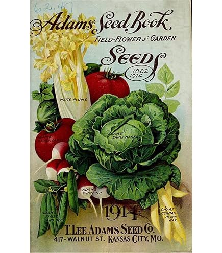 Graman Metal Tin Retro Sign Vintage Kitchen Vegetables Art Print/Poster Vegan Vegetarian Cooking Food Farm Illustration Vintage Home/Bedroom/Office/Restaurant Wall Decor 12x16 Inch