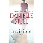 Invisible: A Novel