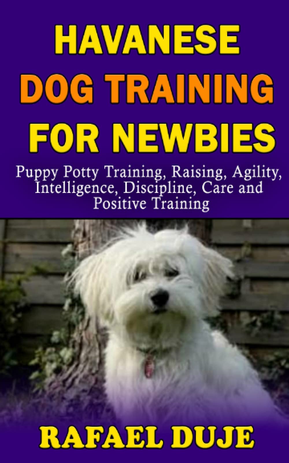 havanese potty training