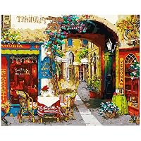 Malen Nach Zahlen Set 'Colorful Elefant' – 16x20 Zoll Leinwand Für Erwachsene & Kinder
