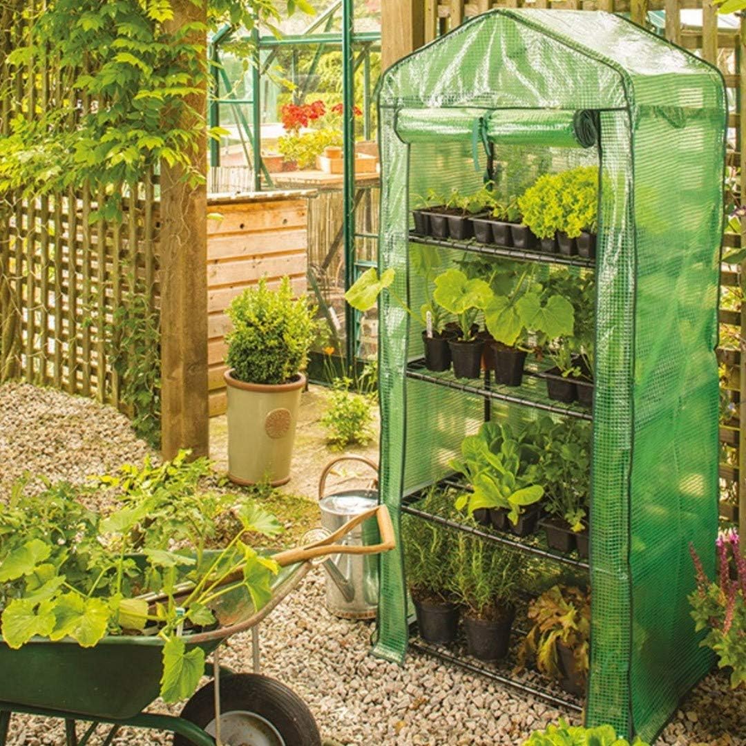 Gardman Gewächshausklammern Typ W – 25 Stück, Rostfrei Und Verzinkt