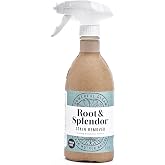 Foaming Natural Stain Remover for Laundry, EWG Verified, Unscented, 16 floz | Non Toxic Stain Remover, Safe for Sensitive Skin and Babies, Plant Based