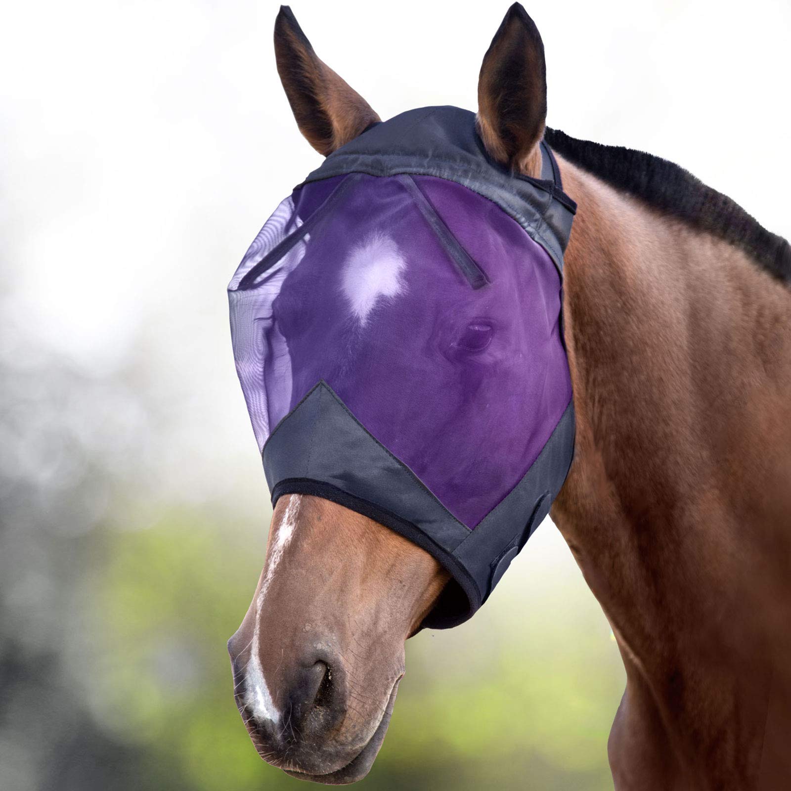 Harrison Howard CareMaster Horse Fly Mask Standard Black/Purple Retro Medium Cob
