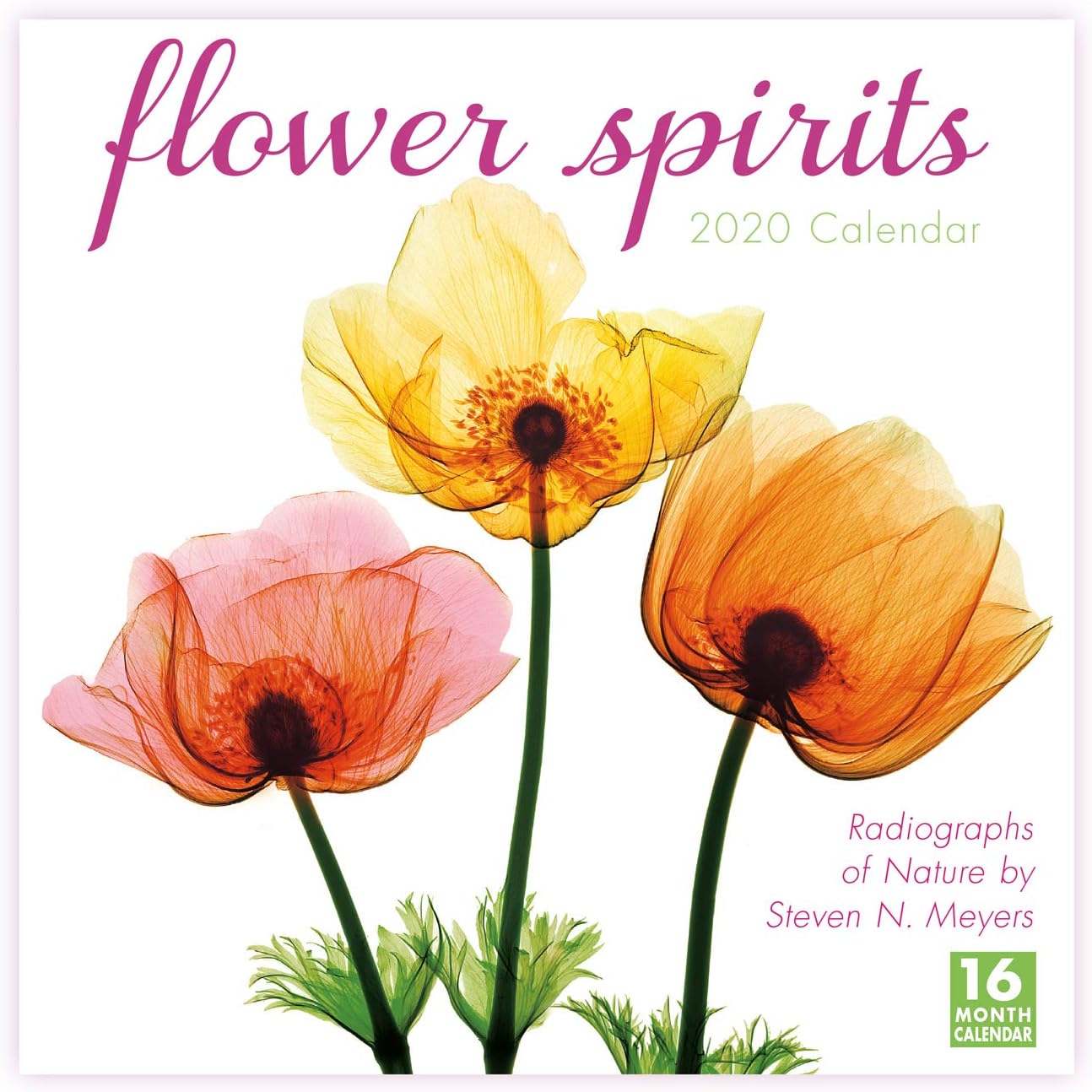 Flower Spirits 2020 Calendar Radiographs of Nature by Steven N. Meyers