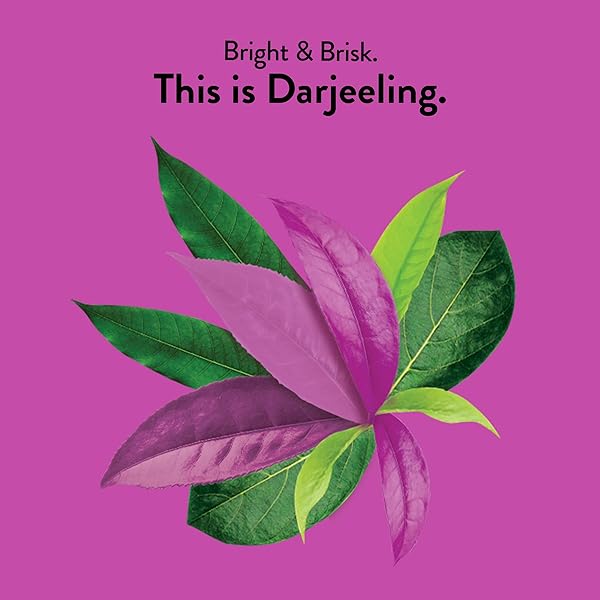 CHOICE ORGANICS – ORGANIC DARJEELING TEA (1 PACK) – FAIR TRADE – COMPOSTABLE – CONTAINS CAFFEINE – 16 ORGANIC BLACK TEA BAGS