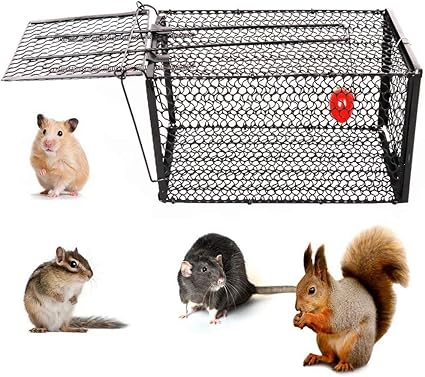 Piege A Souris Piege De Capture Cage 28 14 14cm Pieges A Souris En Cage Pour Animaux Pieges A Souris Pour Animaux Vivants A Haute Sensibilite Pour Attraper Les Souris Les Rats Autres Rongeurs