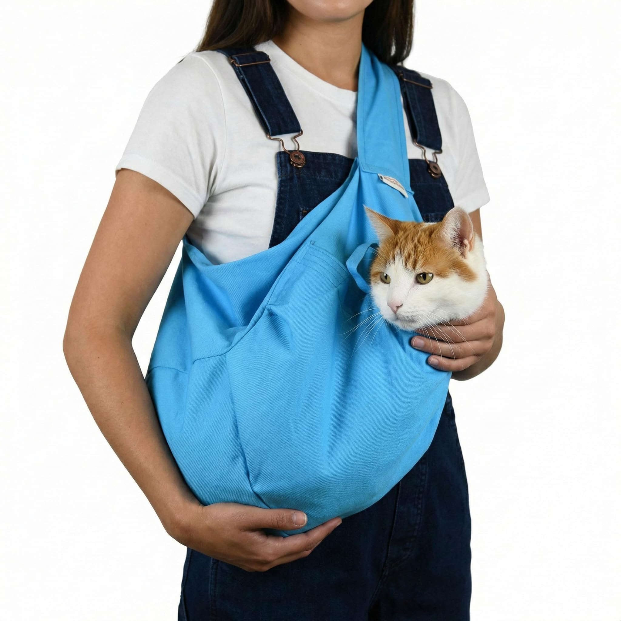 Cozy Comfort Carrier (Extra-Small (for cats under 5 lbs.), Light Blue)